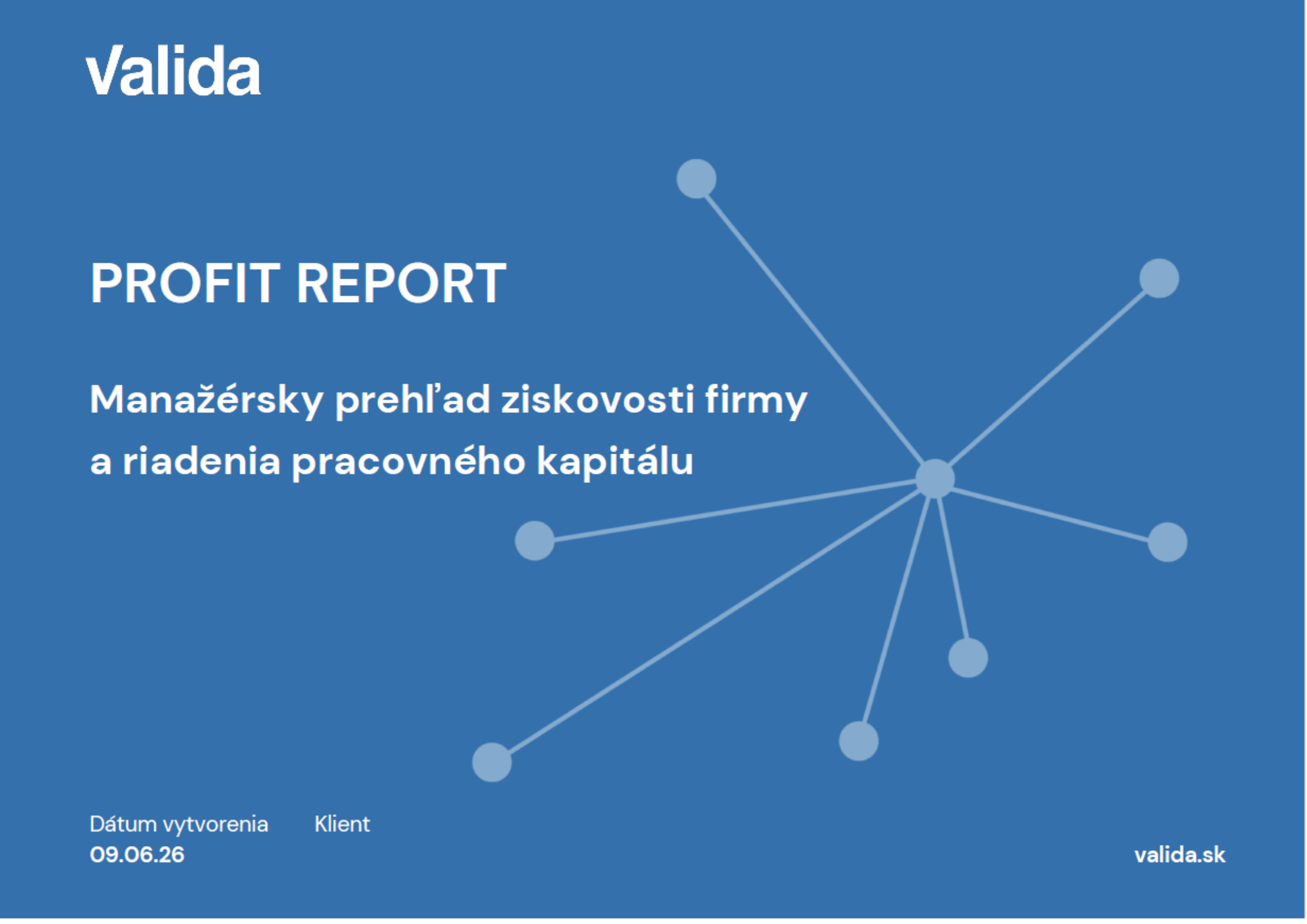 Profit Report Strana 1